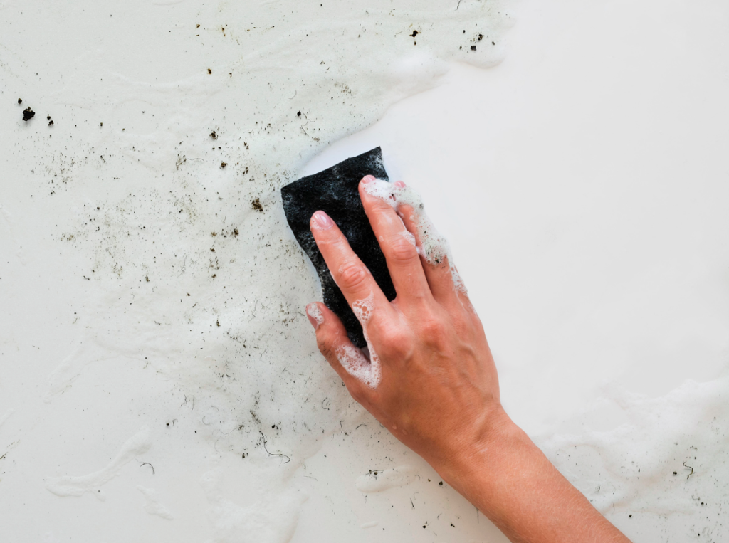 избавиться от плесени.png